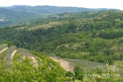Građevinsko zemljište s pogledom na Motovun, starogradsku jezgru i prirodu u Vižinadi 2