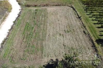 Baugrundstück mit Blick auf Brtonigla 4