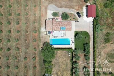 A beautiful house surrounded by nature and a view of the sea in Novigrad 4