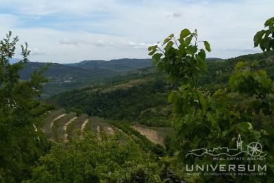 Building plot with a view of Motovun, old town center and nature in Vižinada 3