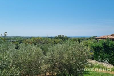 Building plot with sea view in Brtonigla 1