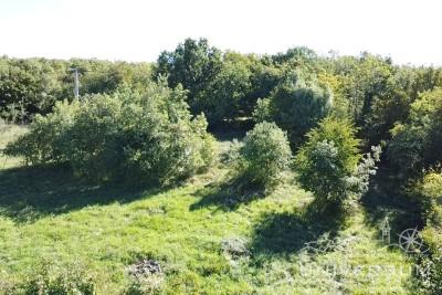 Case da ristrutturare con 3600 m2 di terreno edificabile a Portole 5