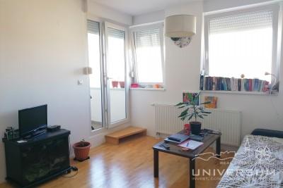 Apartment in a quiet location in a newer building in Umag
