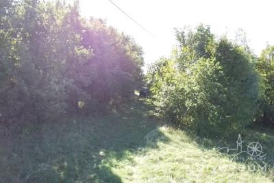 Case da ristrutturare con 3600 m2 di terreno edificabile a Portole 3